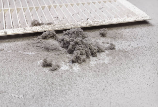 Best Residential Air Duct Cleaning  in Sitka, AK