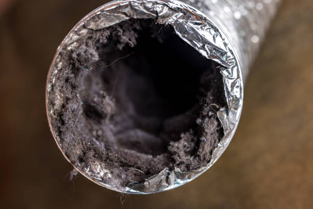 Best Emergency Air Duct Cleaning  in Sitka, AK